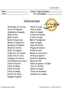 Free Collective Nouns Worksheet 2nd Grade