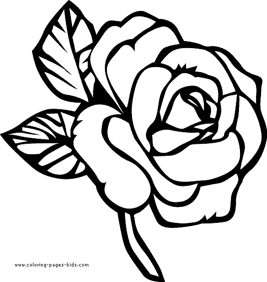 Flower For Coloring Page