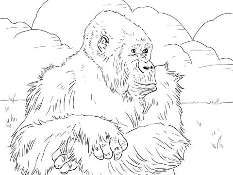 Realistic Gorilla Coloring Pages