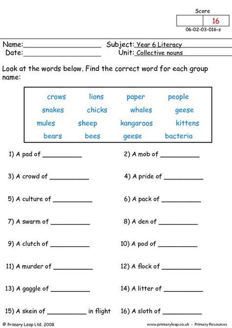 Collective Nouns Worksheet For Grade 6