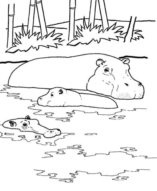 Simple Hippo Coloring Pages