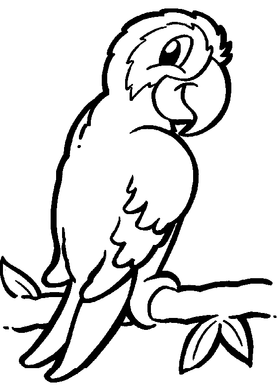Simple Zoo Animal Coloring Pages