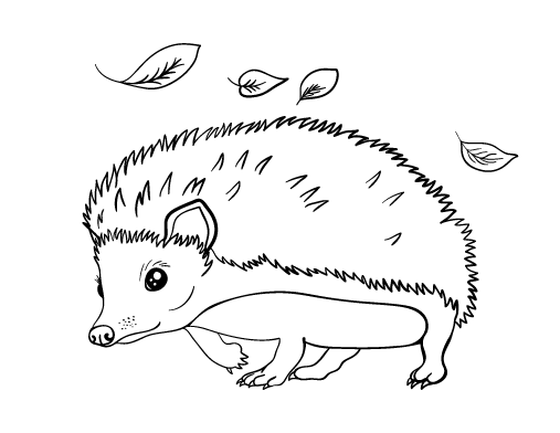 Easy Hedgehog Coloring Page