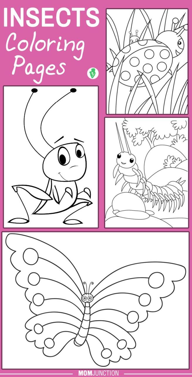 Insect Coloring Pages To Print