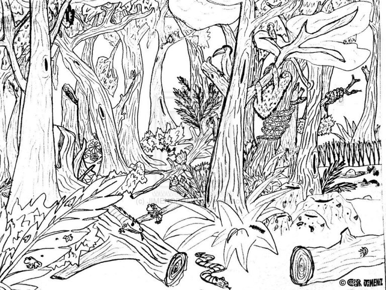 Forest Coloring Pages Pdf