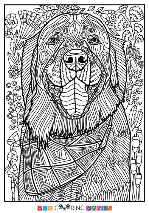 Free Printable Golden Retriever Coloring Pages