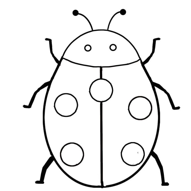 Insects Colouring Pages For Kids
