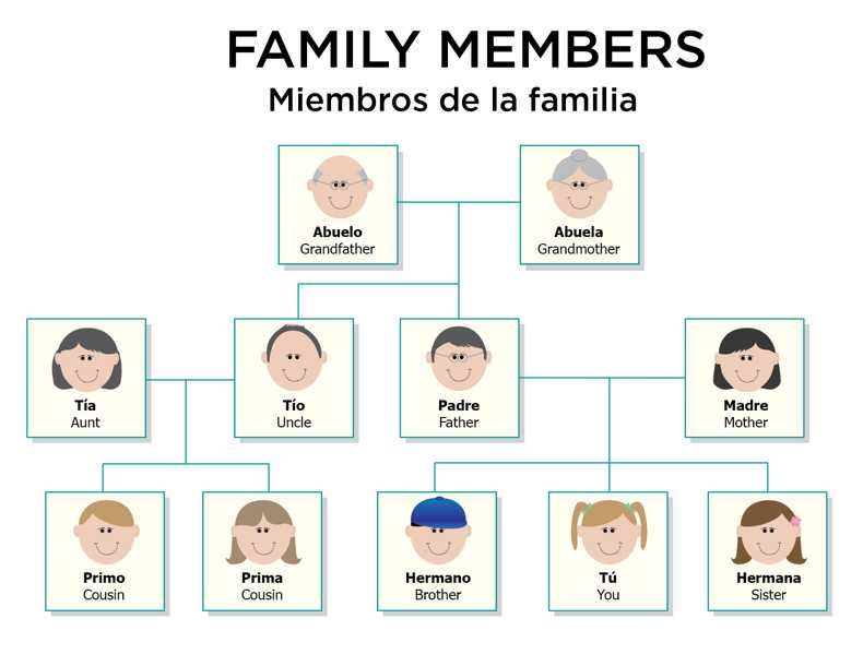 Family Members In Spanish Worksheet