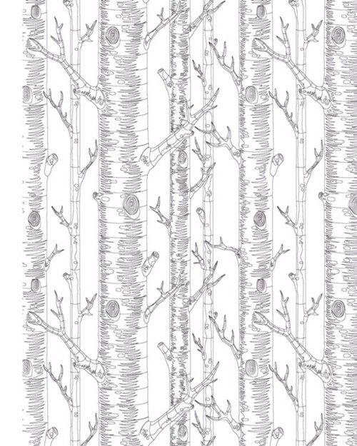 Free Printable Birch Tree Coloring Page