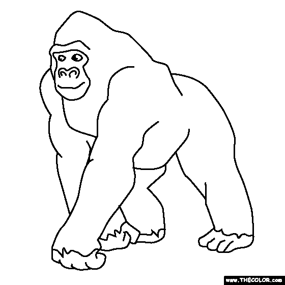 Cute Gorilla Coloring Pages