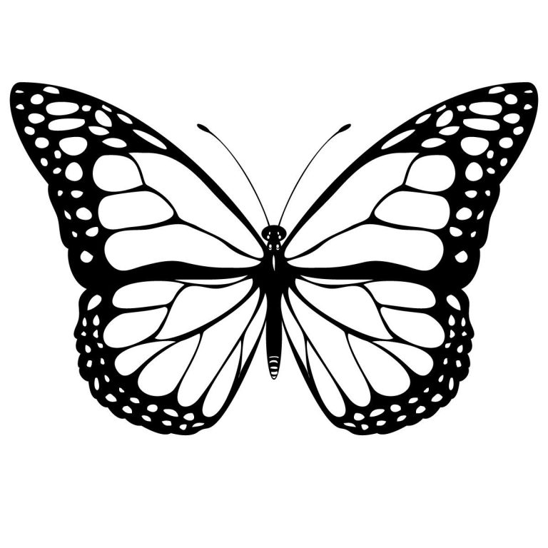 Butterfly Pictures To Color For Free