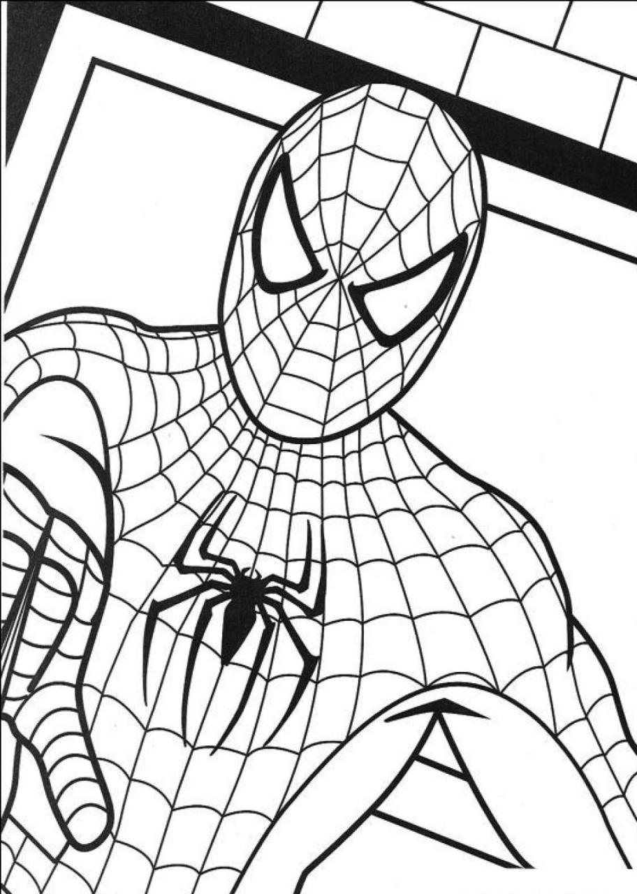 Spiderman Colouring In Free