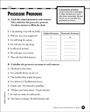 Grade 3 Possessive Pronouns Worksheets