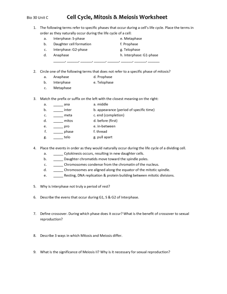 Stages Of Mitosis Worksheet Answer Key