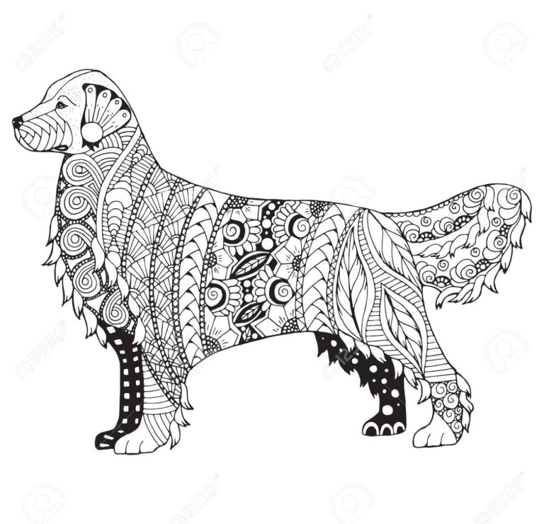 Golden Retriever Realistic Cute Puppy Coloring Pages