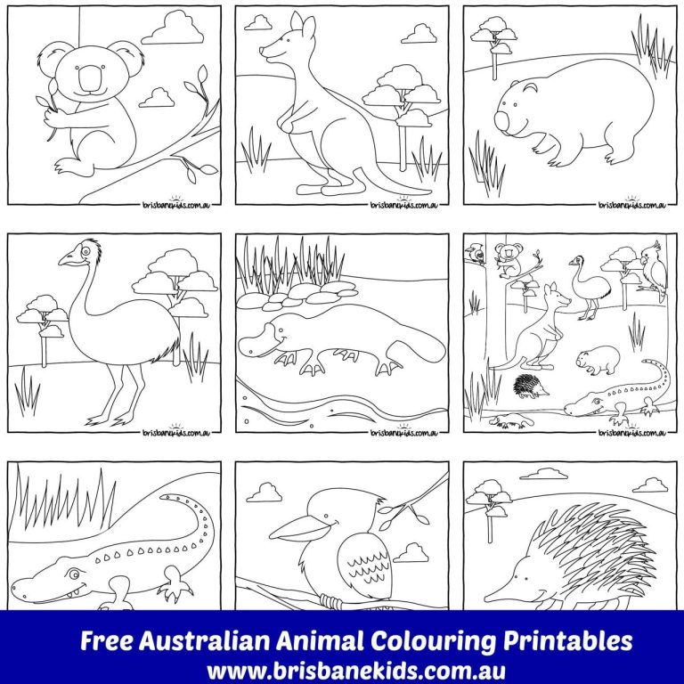 Free Printable Colouring Pages Australian Animals