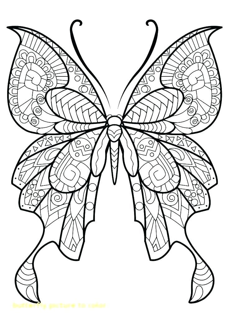 Printable Butterfly Pictures To Color