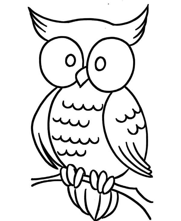 Simple Easy Owl Coloring Pages