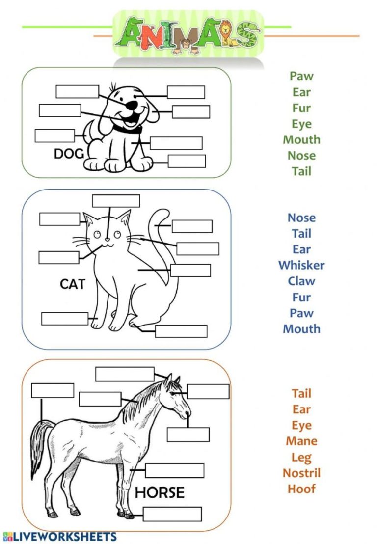 Science Worksheets For Grade 1 Animals