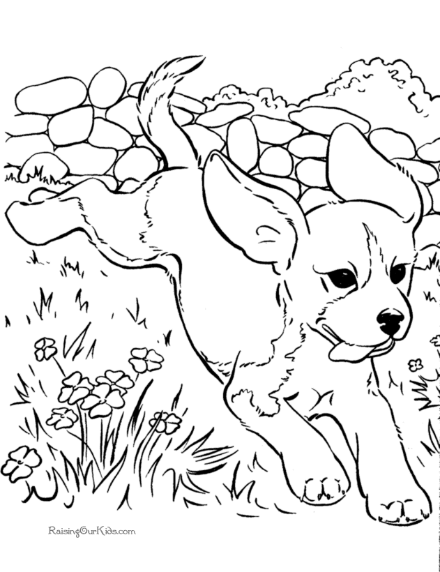 Coloring Page Dog Pictures To Color