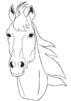 Realistic Unicorn Head Coloring Pages