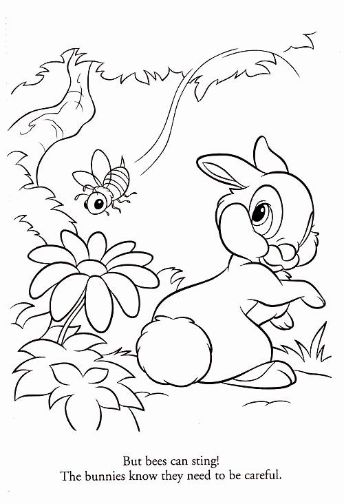 Pinterest Coloring Pages Animals