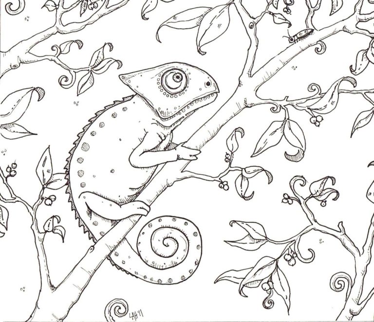 Chameleon Coloring Pages For Kids