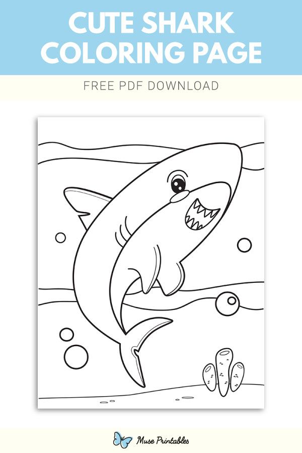 Shark Coloring Pages Pdf