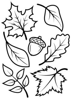 Free Printable Fall Leaves September Coloring Pages