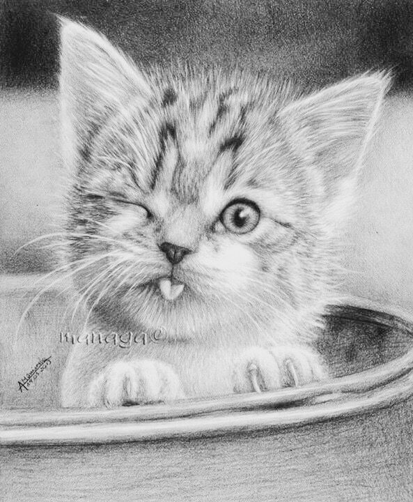 Realistic Cute Kitten Coloring Realistic Cute Cat Coloring Pages