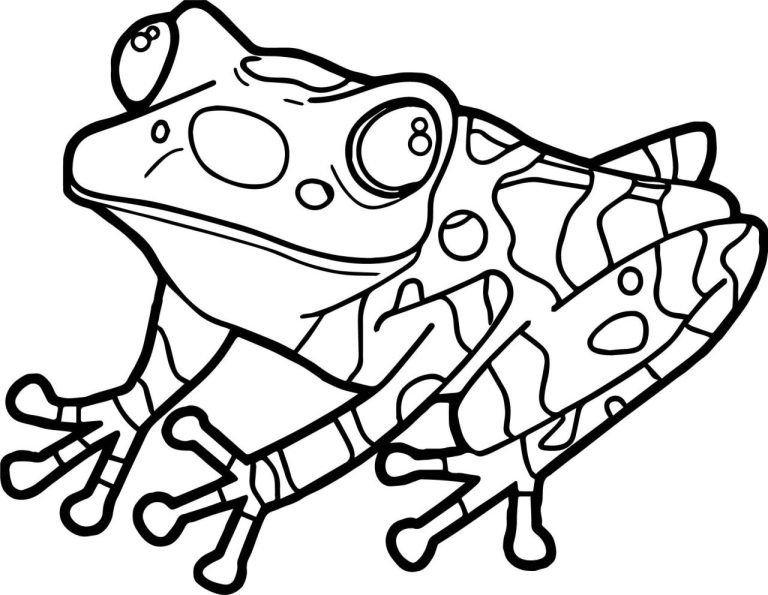 Frog Coloring Page Realistic