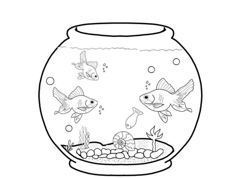 Fish Tank Coloring Pages