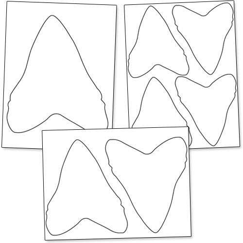 Shark Tooth Coloring Page