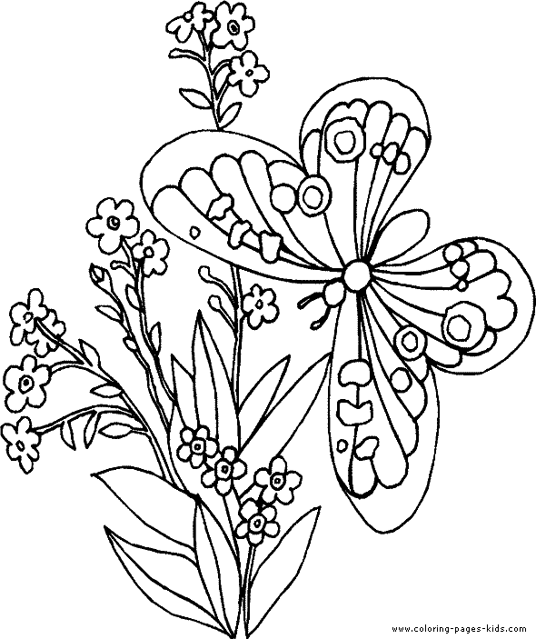 Coloring Pictures Of Flowers And Butterflies
