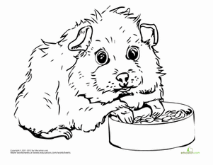 Guinea Pig Coloring Pages To Print