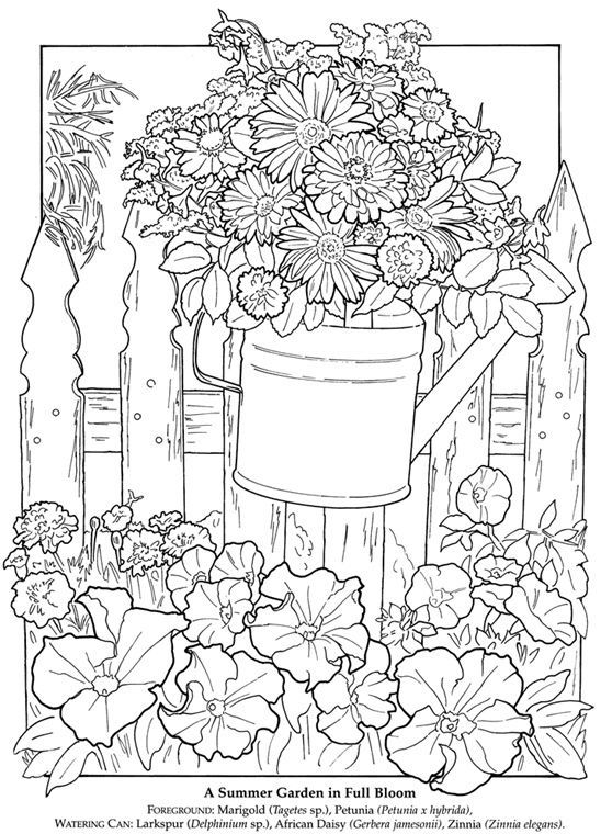Pinterest Coloring Pages Free