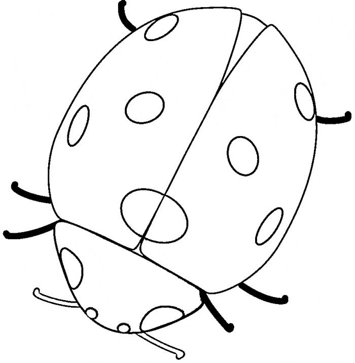 Ladybug Coloring Page Pdf