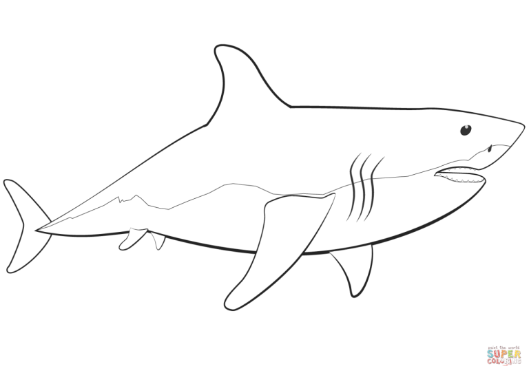 Real Shark Pictures To Color