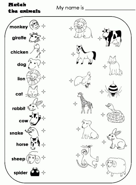 Spanish To English Worksheets For Kindergarten