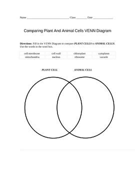 Worksheet Answer Key Venn Diagram Worksheet With Answers Pdf