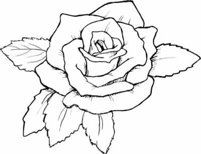 Cute Rose Flower Coloring Pages