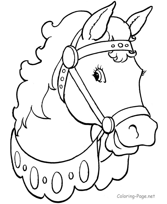 Horse Colouring In Images