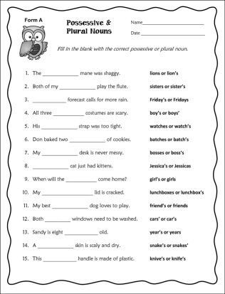 Fifth Grade Possessive Nouns Worksheets With Answers Pdf