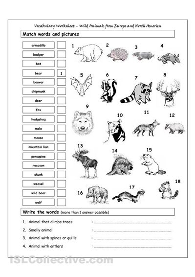 Movements Of Animals Worksheets For Grade 2