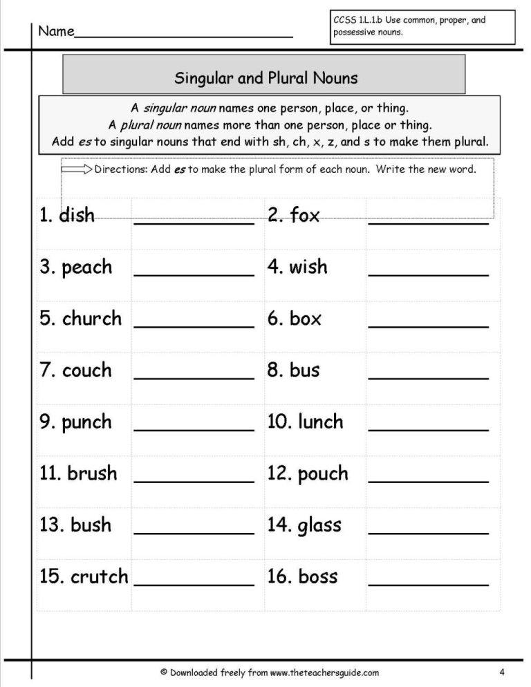 Kindergarten Singular And Plural Worksheets For Grade 1