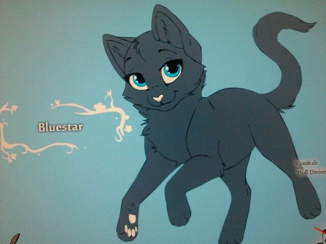 Warrior Cats Coloring Pages Bluestar