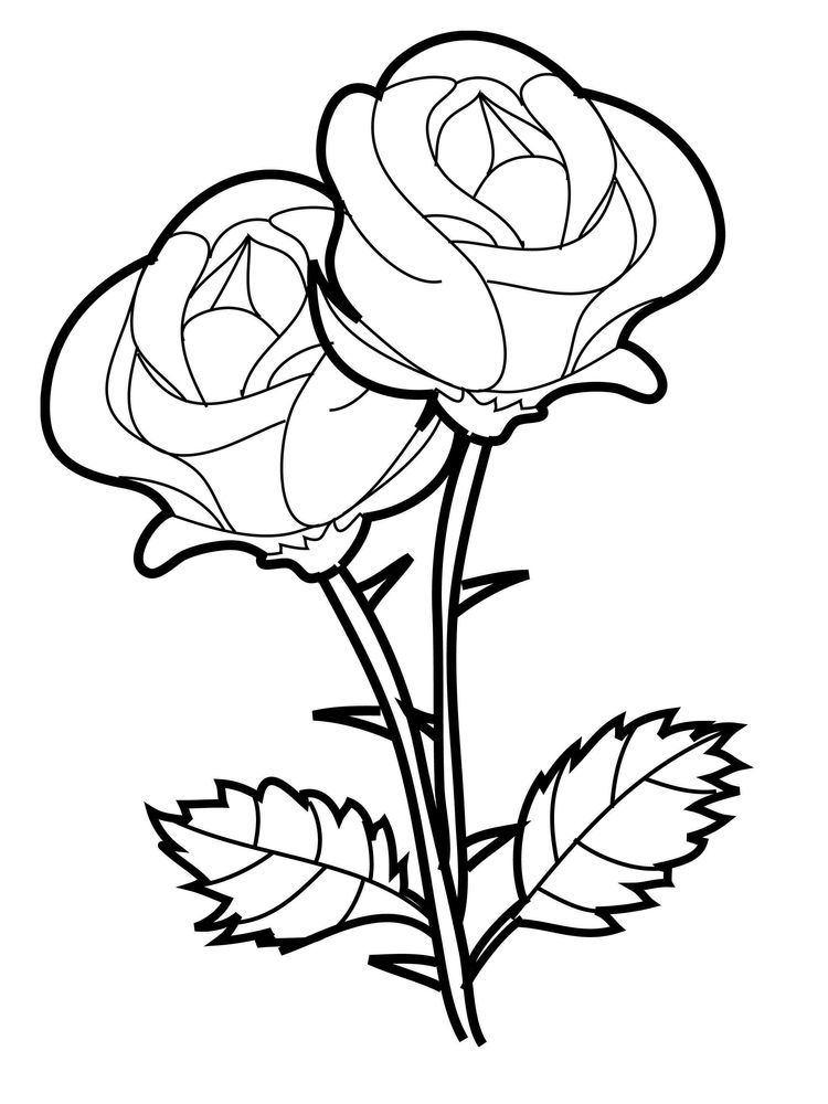 Rose Flower Coloring Pages Pdf