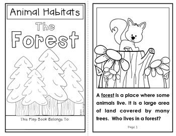 Grade 1 Animals Habitat Worksheet