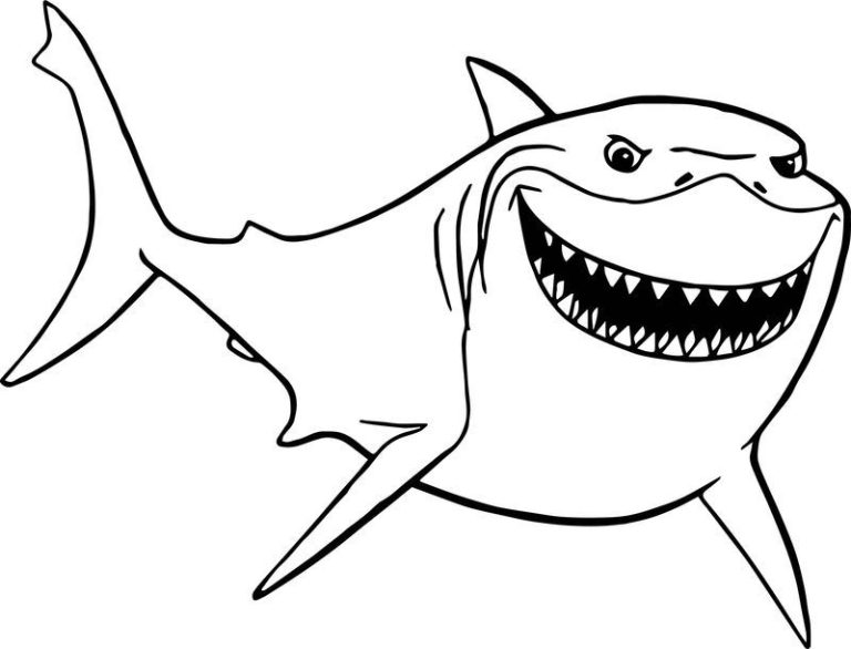 Cartoon Shark Pictures To Color
