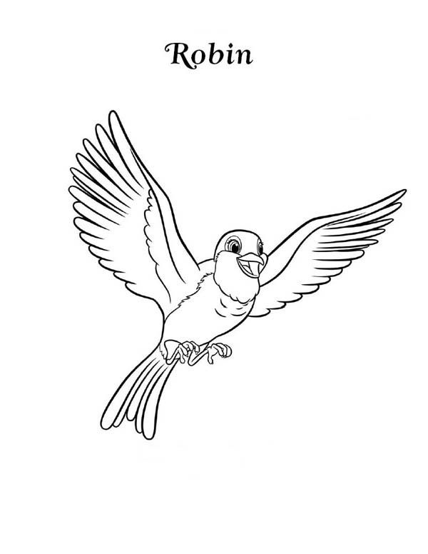 Robin Coloring Pages Printable